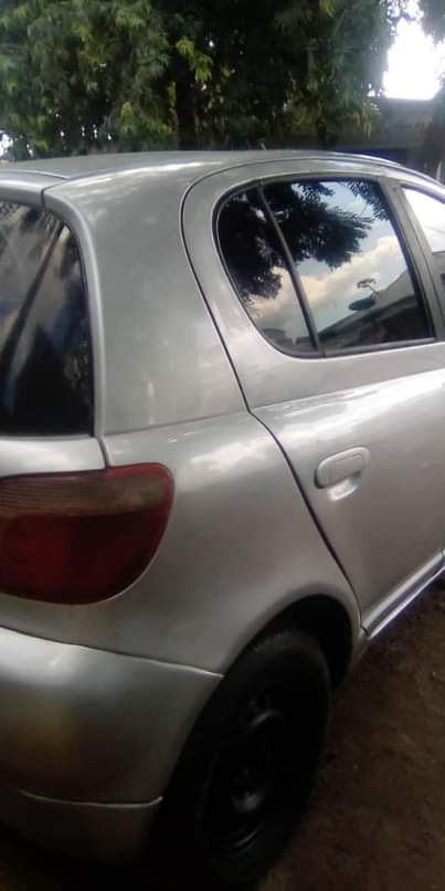 A picture of Vitz