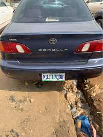 A picture of Corolla okerejuoelo