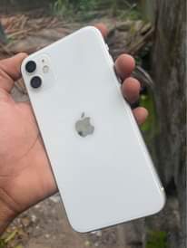 A picture of iPhone 11 plain