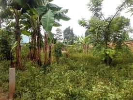 A picture of Plot of land