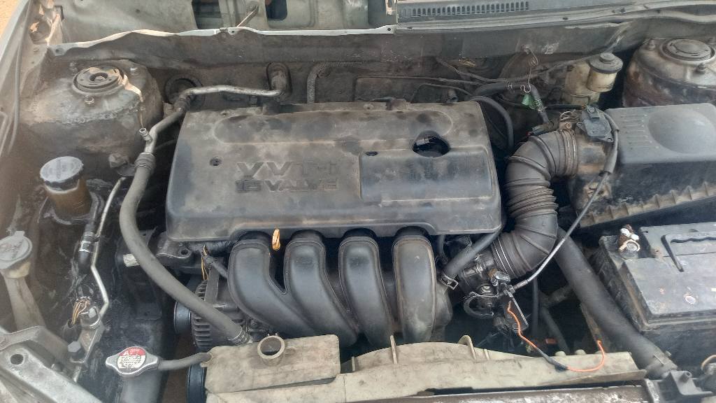 A picture of Corolla