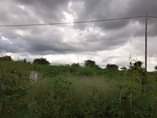 A picture of KIWANJA HEKA MOJALINAUZWA LIPO KARIBU NA BARABARA KUU YA MLANDIZI
