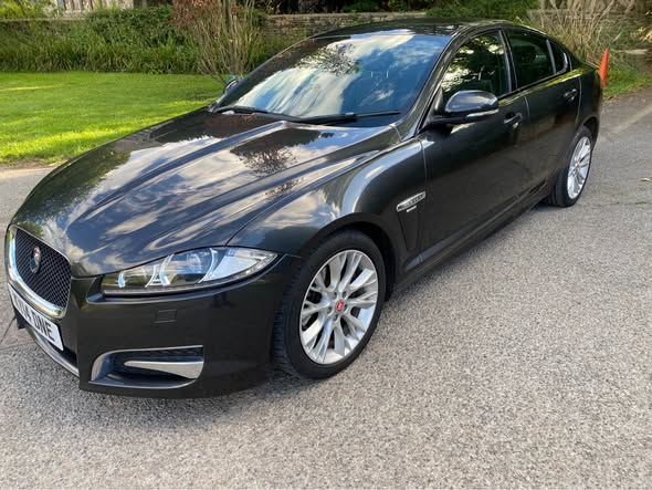 jaguar