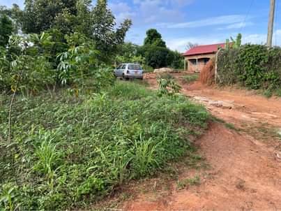 A picture of Titled plot at 50m Kiwenda