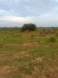 mwembeshi