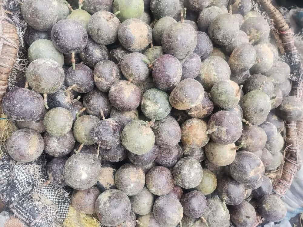 A picture of Passion Fruits