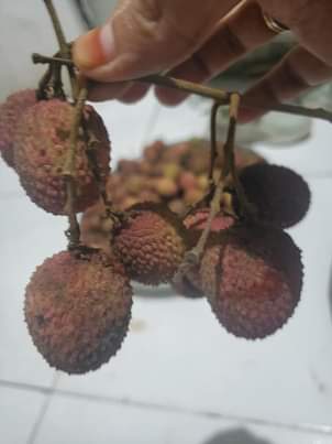 A picture of Fresh grade A litchis available