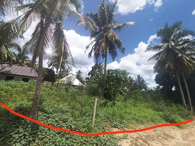 kiwanja