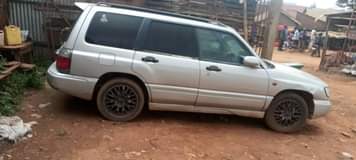 A picture of Sibaru