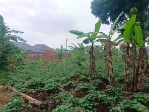 A picture of Good for home and rentals town in town land title