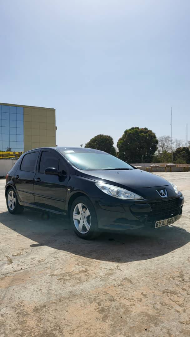 A picture of PEUGEOT 307. 2006