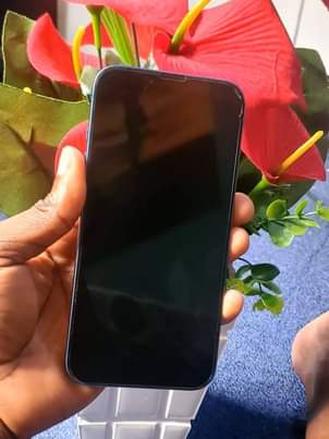 A picture of Iphone 13 plain