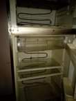 A picture of FRIJI MILANGO 2