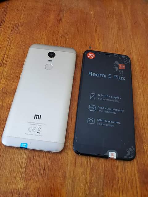 New M.