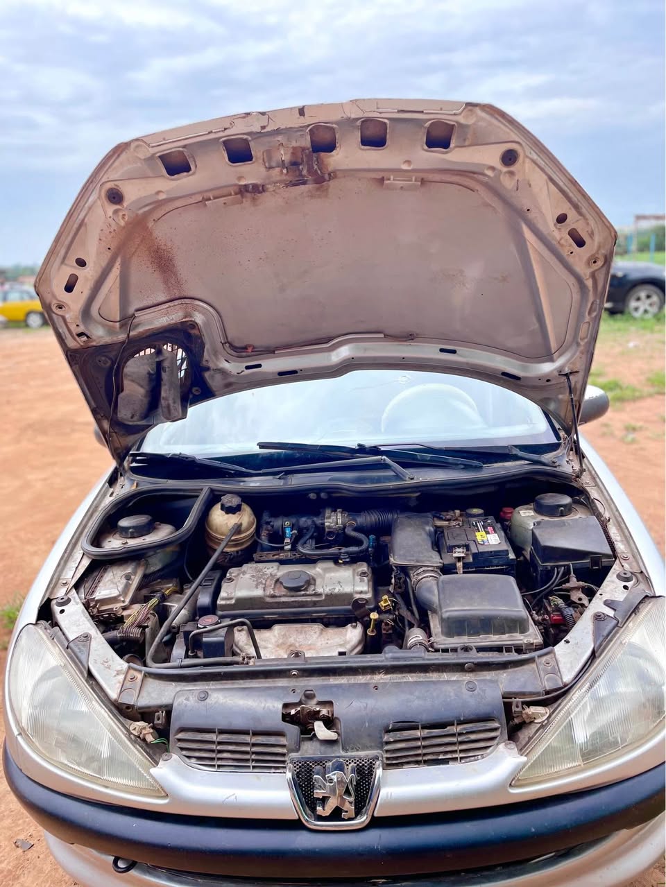 A picture of Peugeot 206