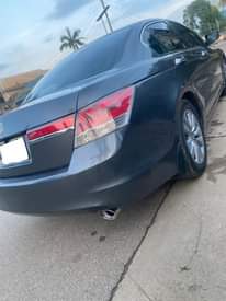 A picture of Honda Accord 2011