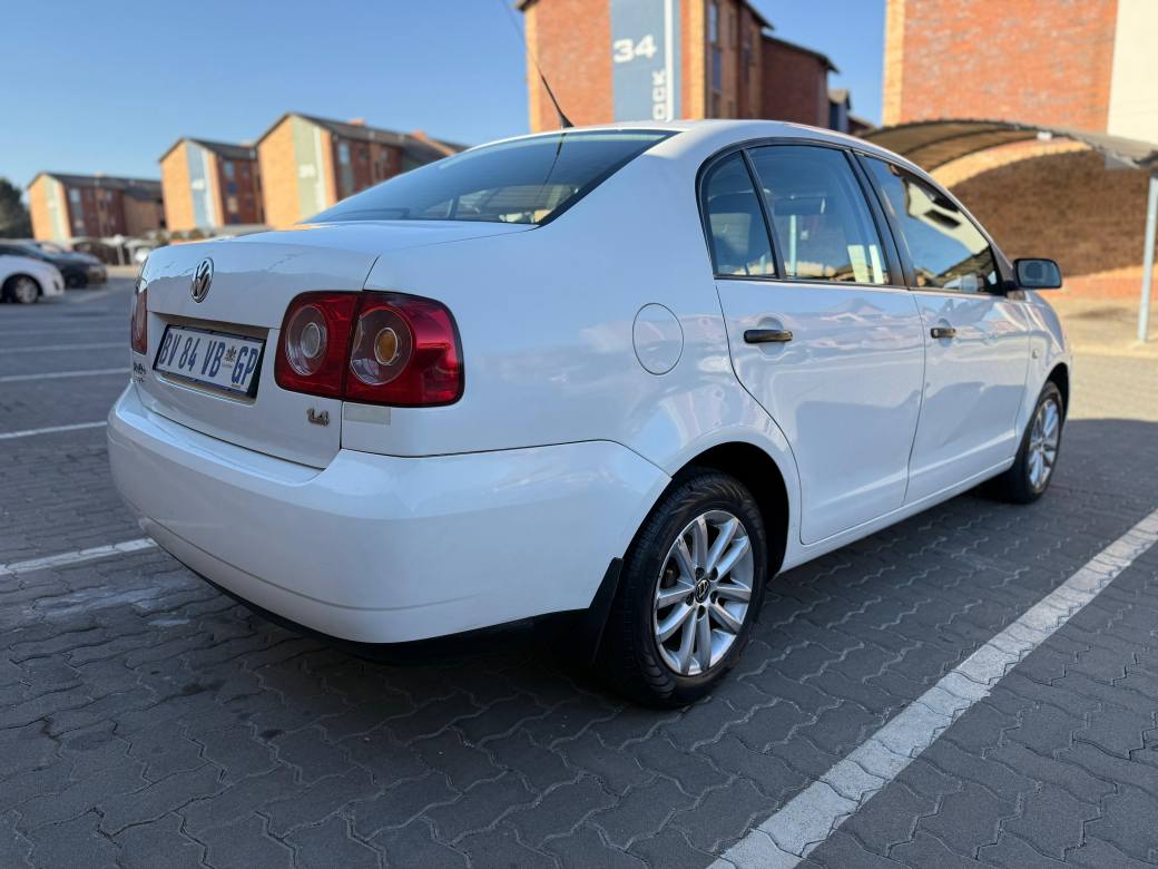 polo vivo
