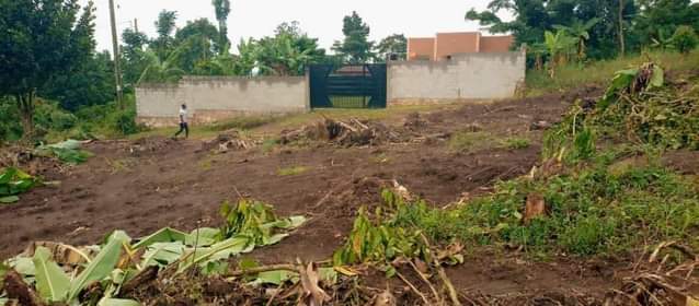 A picture of Plots of land