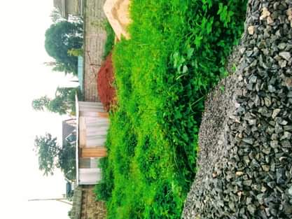 house kahawa