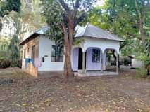 A picture of Olasiti