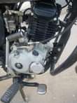 A picture of Boxer cc 125