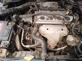A picture of 2002 Honda baby boy 2002