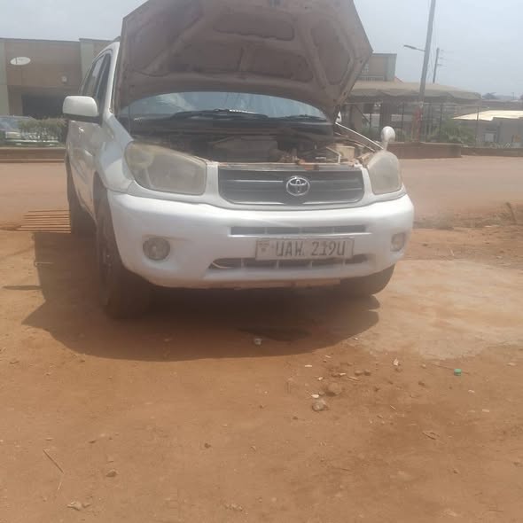 A picture of Rav4