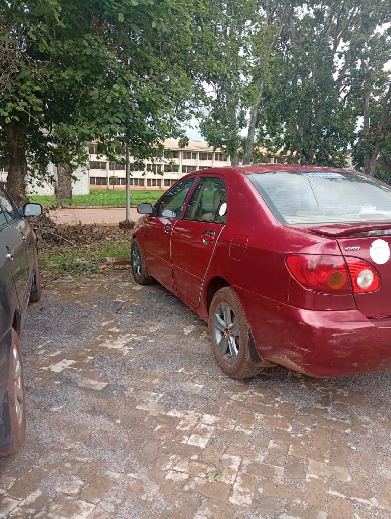 A picture of 03 Corolla