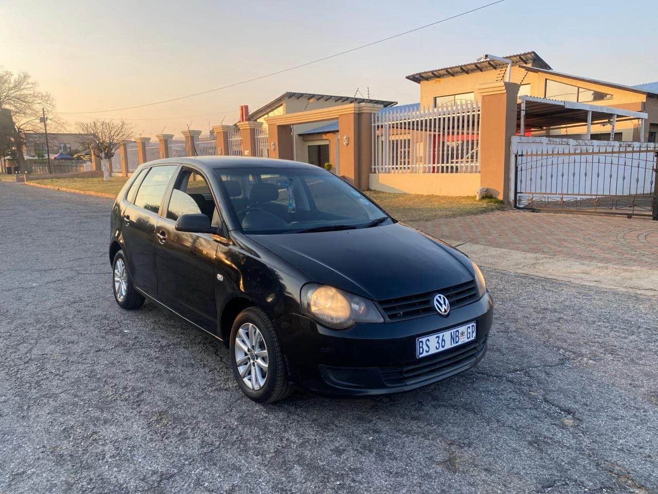 polo vivo