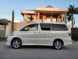 A picture of TOYOTA ALPHARD SIMU 0716041604