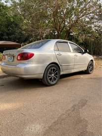 A picture of COROLLA
