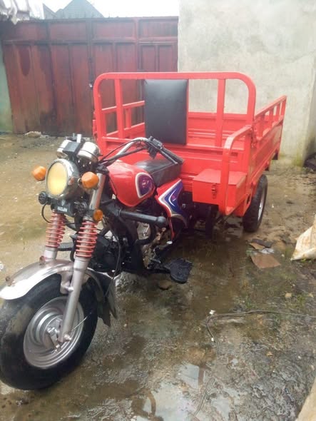 A picture of Very sound Haojin 200 capacity for sale 2m