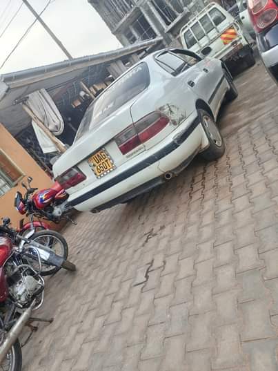 A picture of 0705627113 4 8m