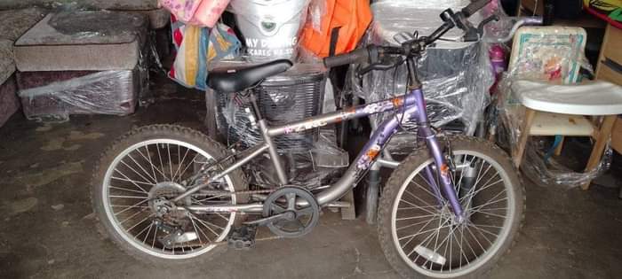 bicycle