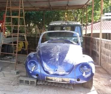 vw beetle