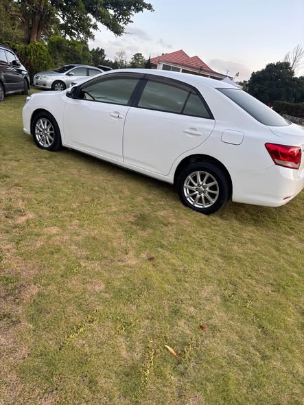 used toyota allion