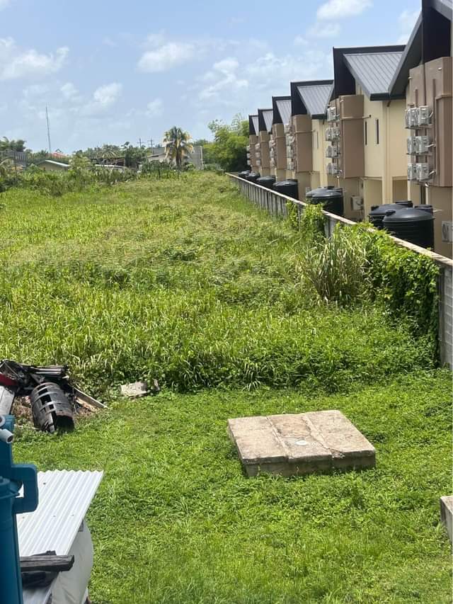 Trinidad R.