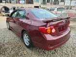 A picture of Toyota Corolla 2009