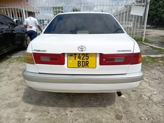 A picture of Premio Old 0714058883