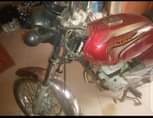A picture of Bajaj Boxer