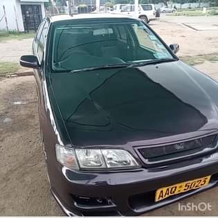 nissan primera