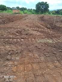 A picture of Plots on fair prices