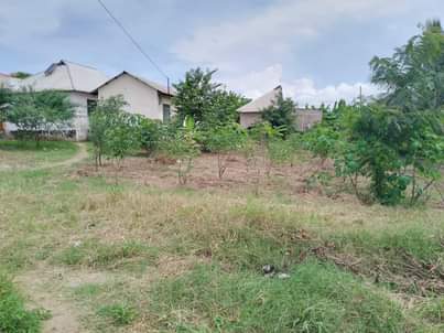 A picture of Tumshukuru Mwenyezi Mungu kwa sababu yeye ni mwema daima. Kiwanja