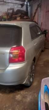 A picture of Runx 0714127015