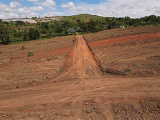 A picture of 50by100 with ready land title At 12_13m. At wakiso