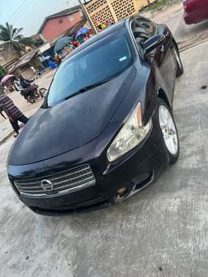 A picture of Pure First body Nissan Maxima 2011 Has not been registered