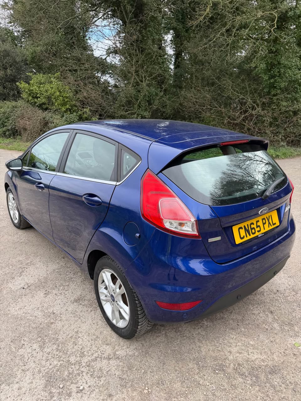 ford zetec