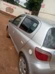 A picture of Vitz