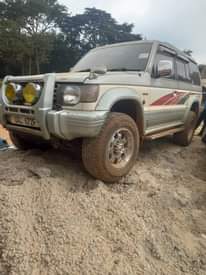 A picture of Pajero petrol