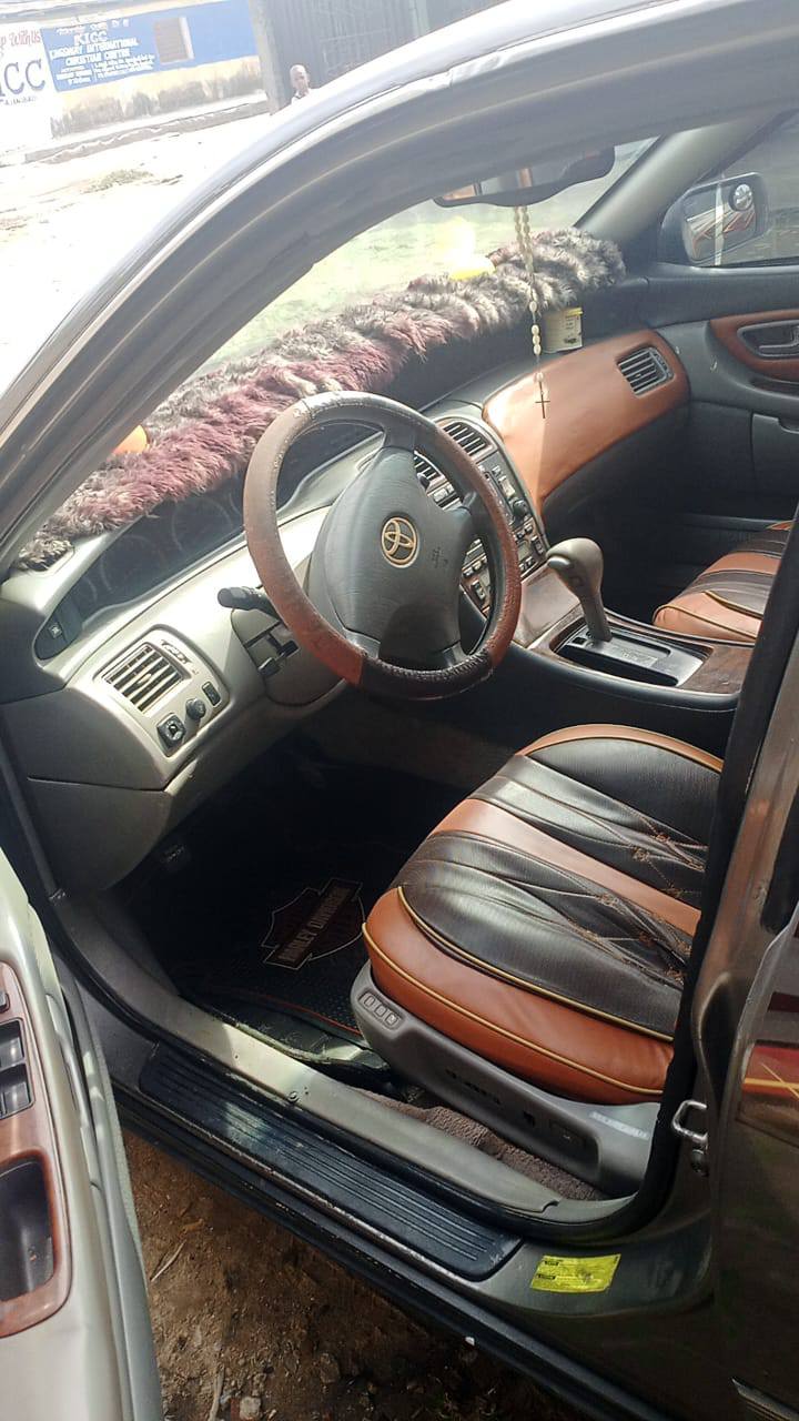 A picture of Avalon